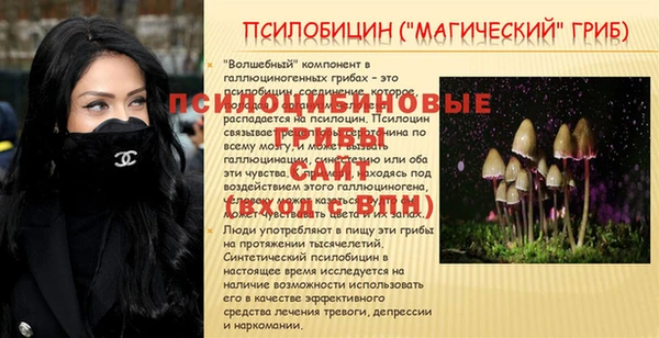 mdpv Надым