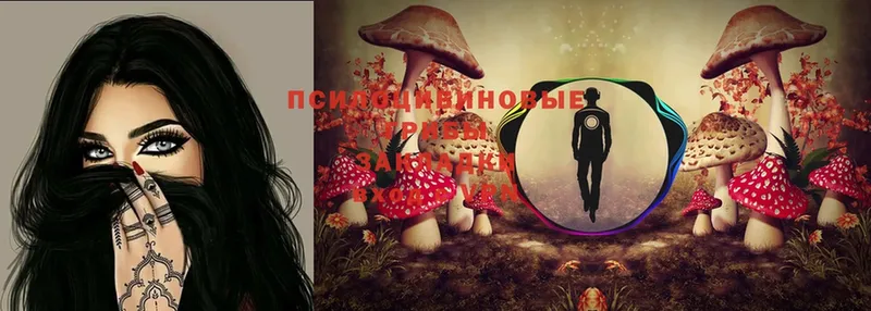 МЕГА сайт  Боровичи  Псилоцибиновые грибы MAGIC MUSHROOMS 