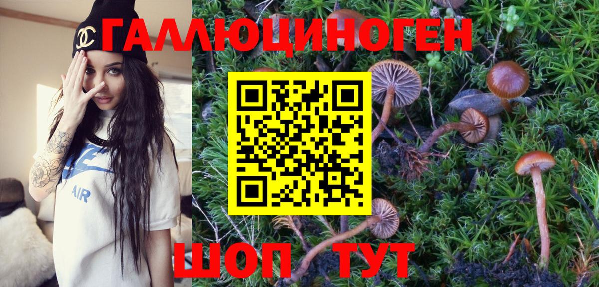 Галлюциногенные грибы ЛСД  Боровичи 