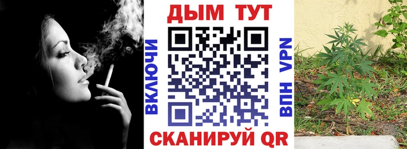 Марихуана сатива Боровичи